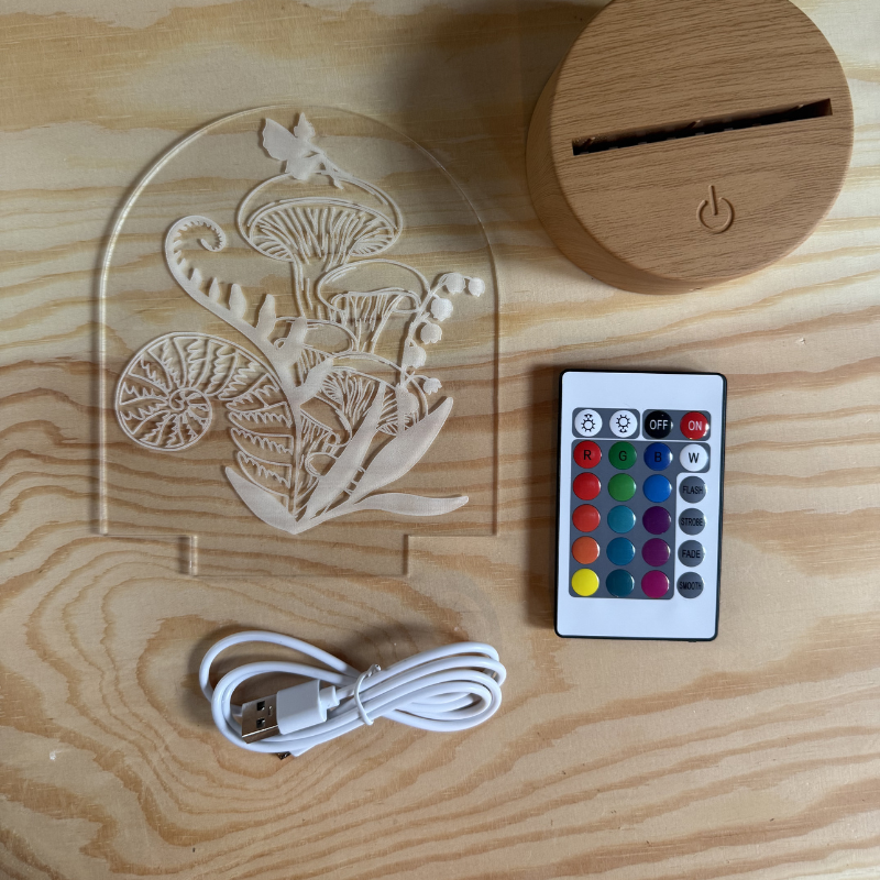 Fairy Bookshelf Light