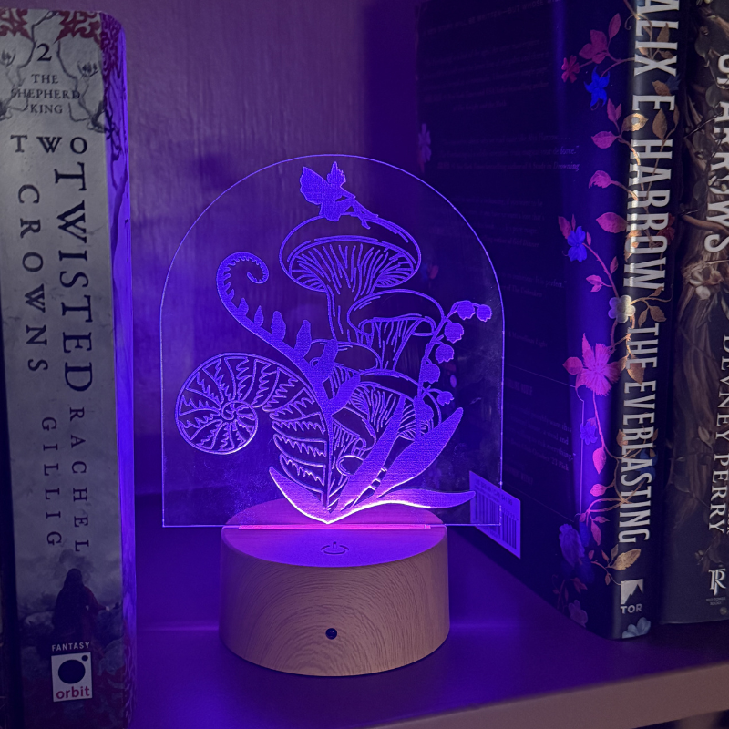 Fairy Bookshelf Light