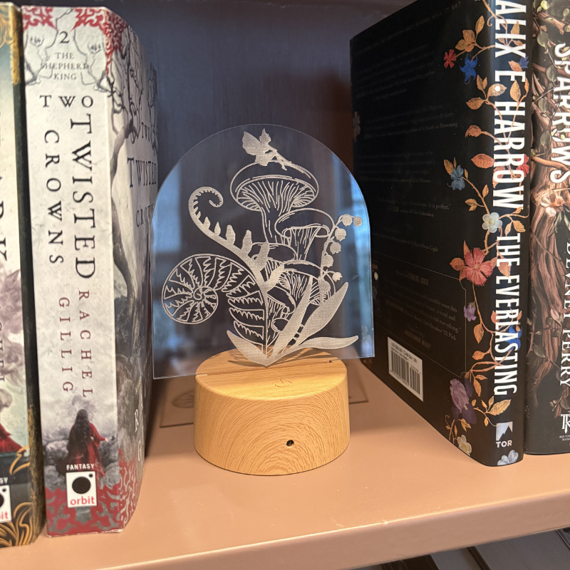 Fairy Bookshelf Light