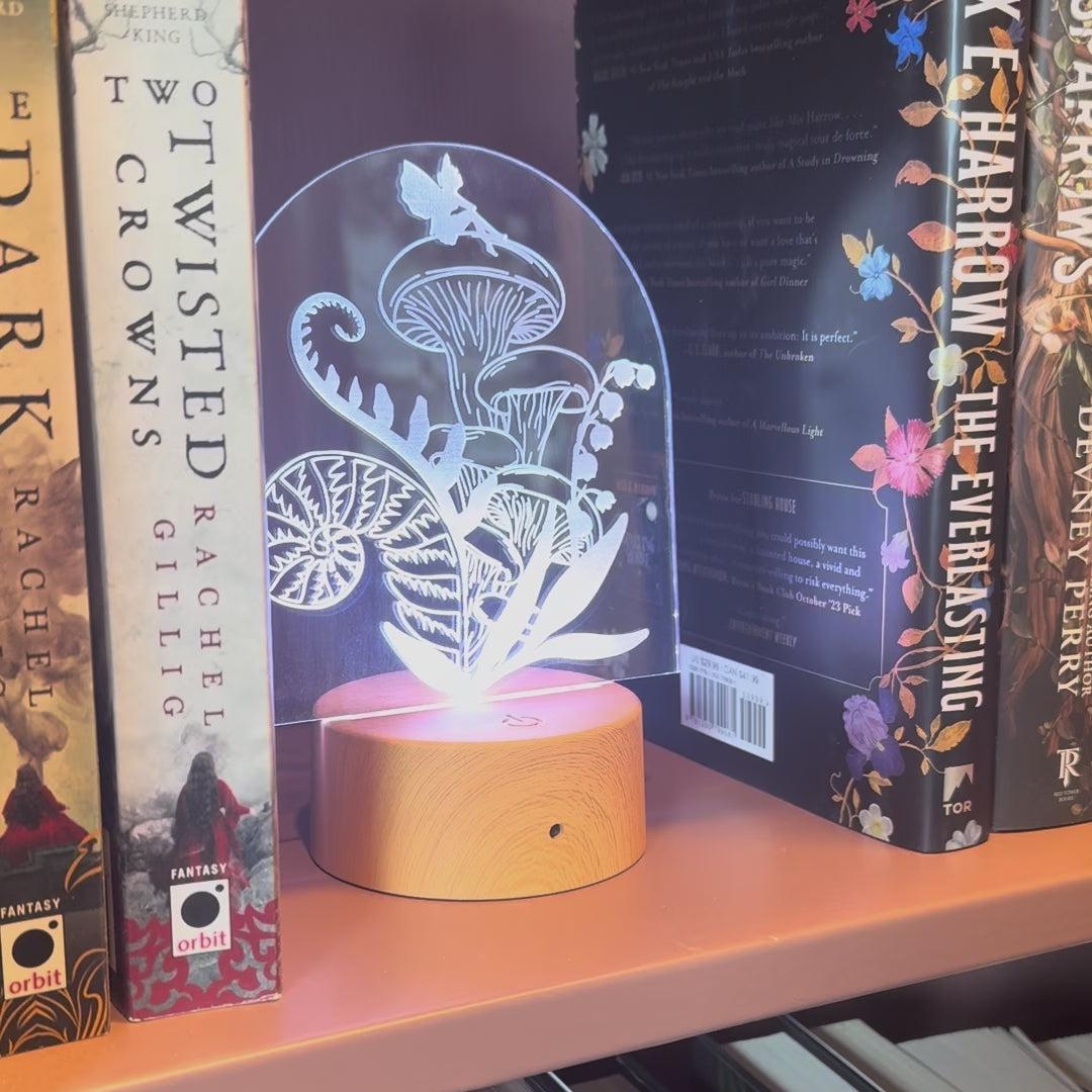 Fairy Bookshelf Light